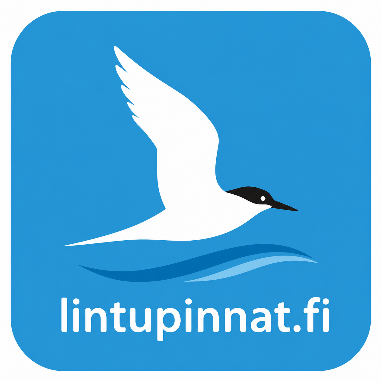 Lintupinnat